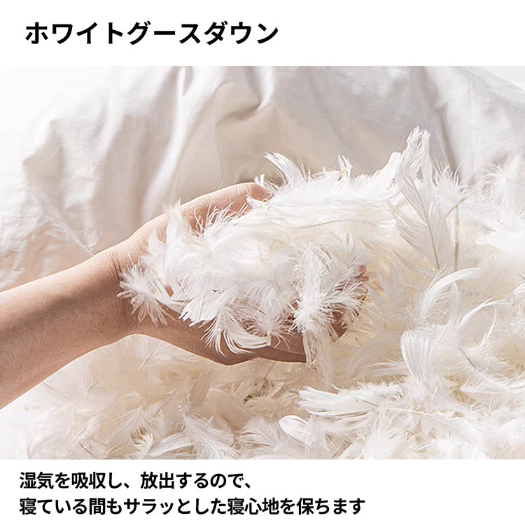 ベッド 寝具 収納ベッド ミニマルデザイン ホワイトグースダウン すのこ ナッパトップレザー カスタマイズ可能 BED-S056