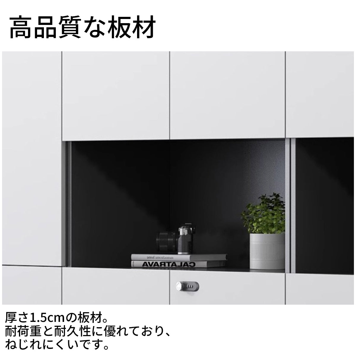 セキュリティ鍵付き 扉付き 壁面収納 ディスプレイラックオフィス収納 役員収納庫 社長室 収納棚 ロッカー オフィス 高級 カスタマイズ可能 CWG-T008